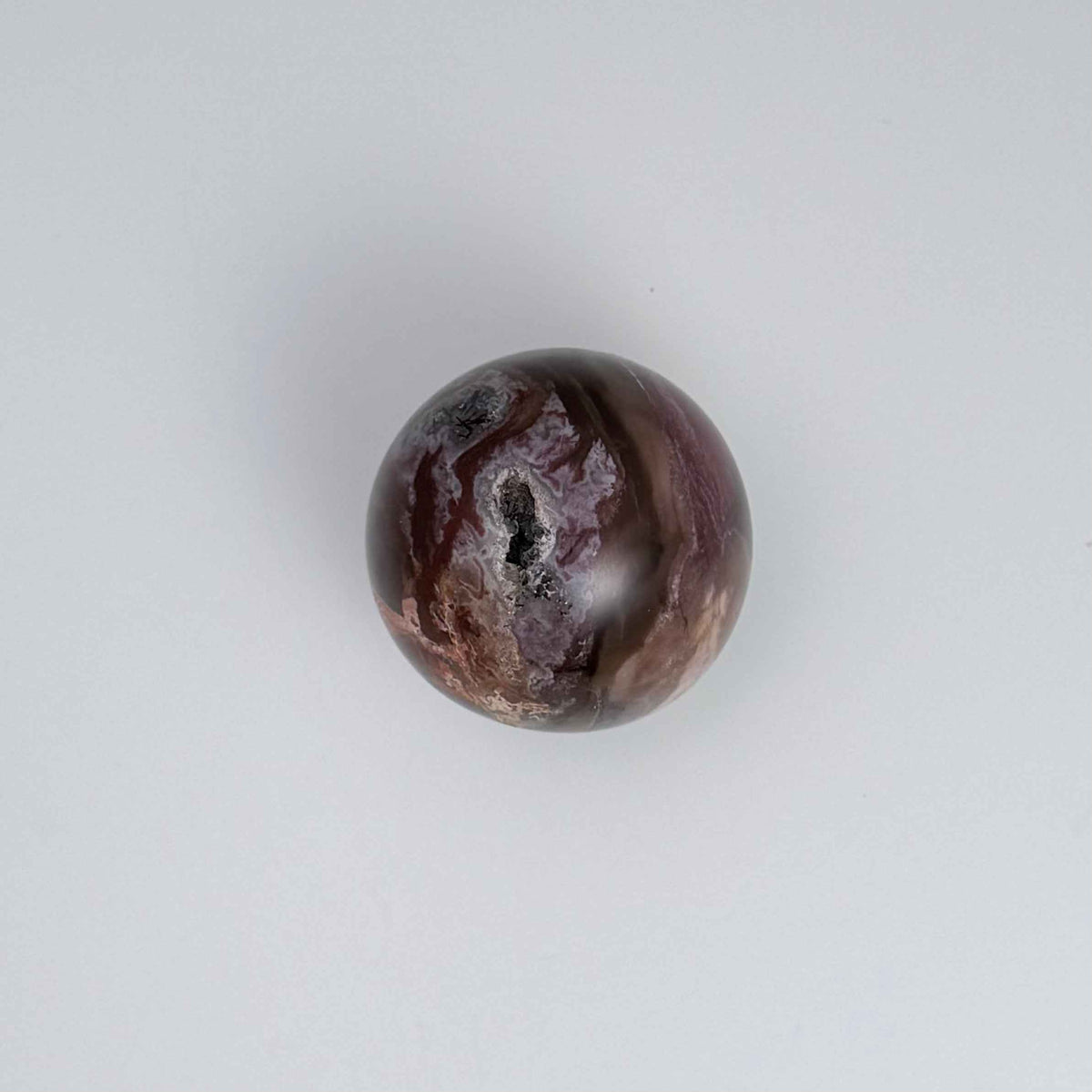 Petrified Wood