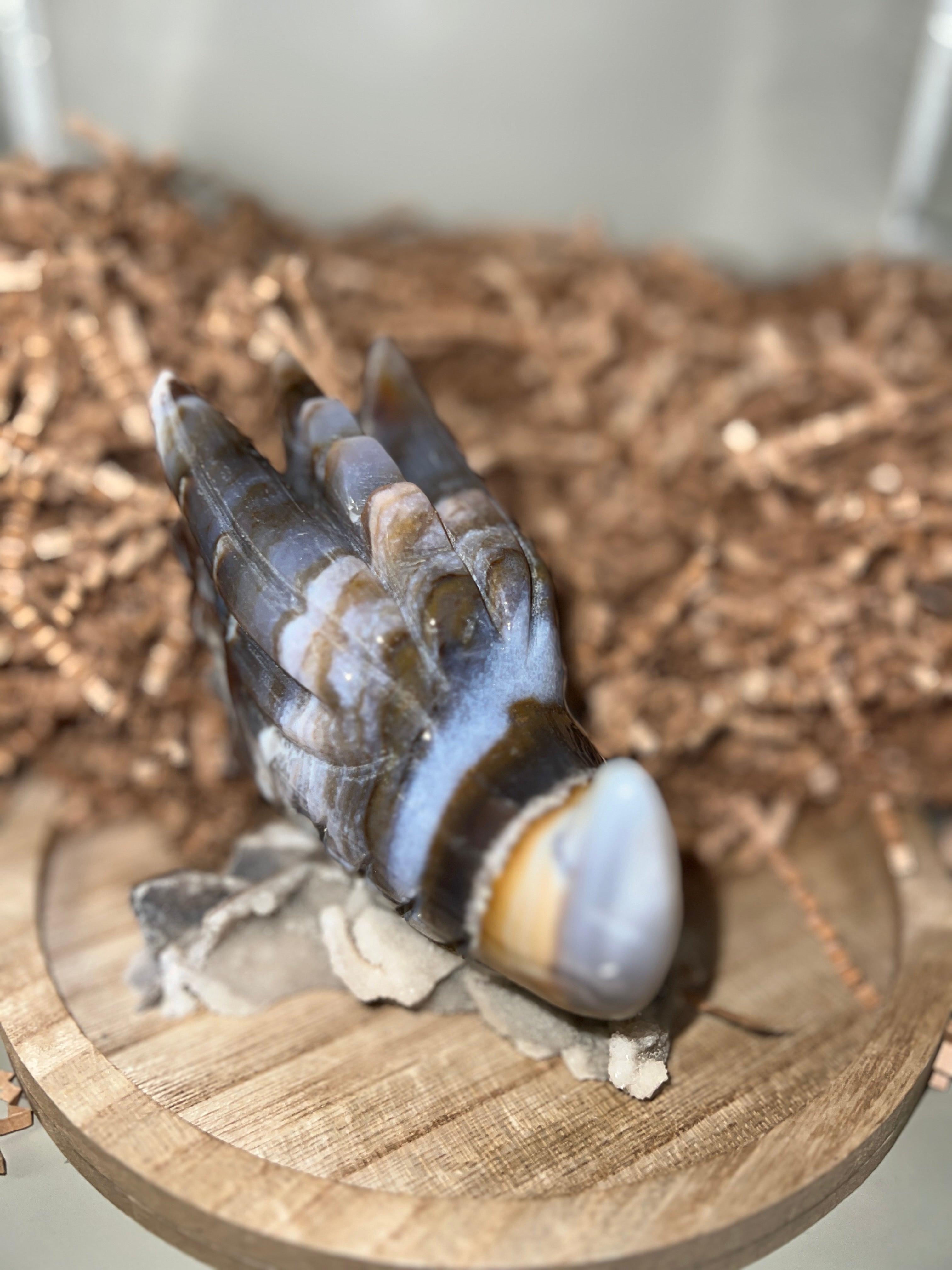 Blue Banded Agate Dragon Skull