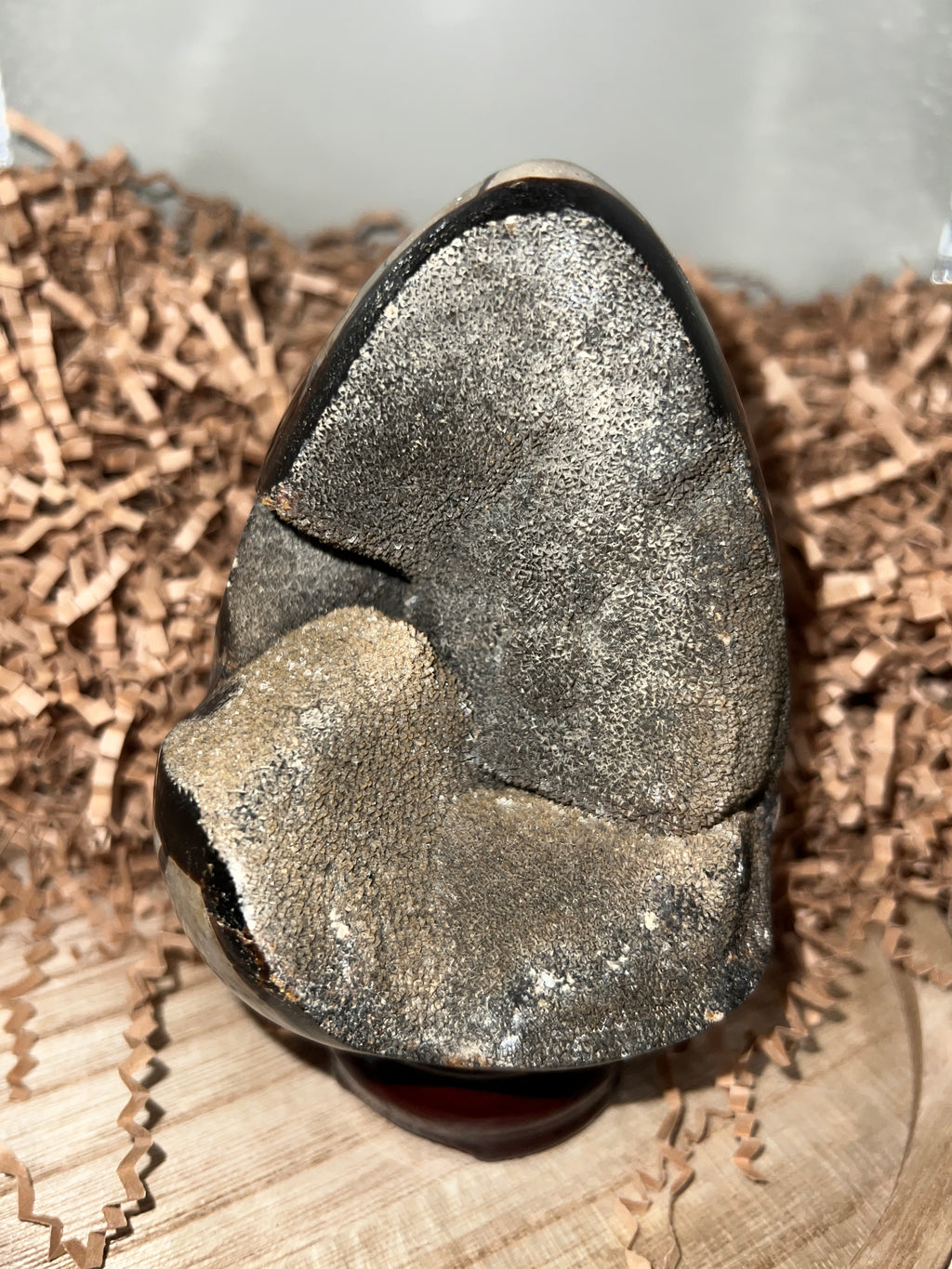 Septarian Dino Egg