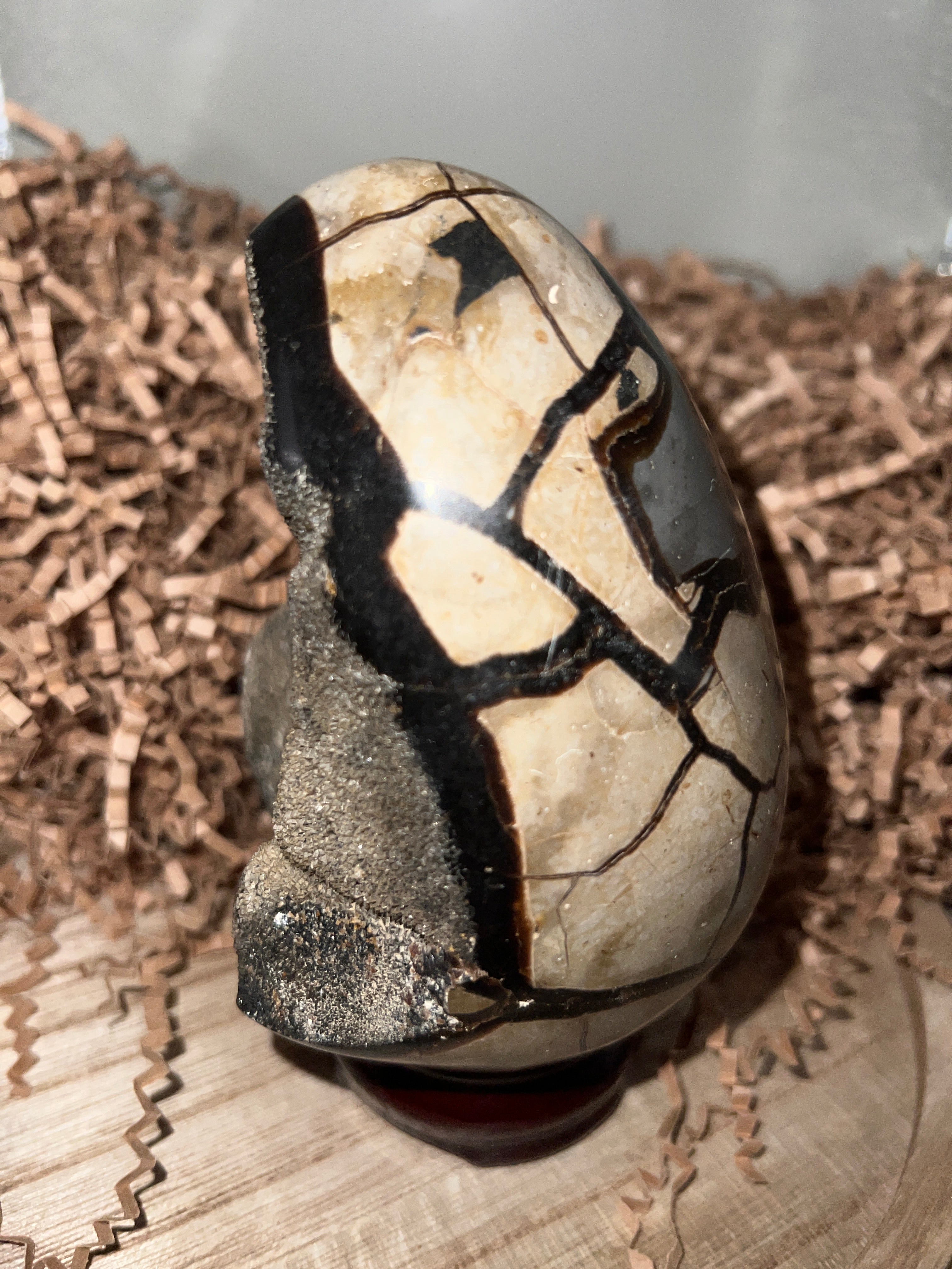 Septarian Dino Egg