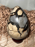Septarian Dino Egg