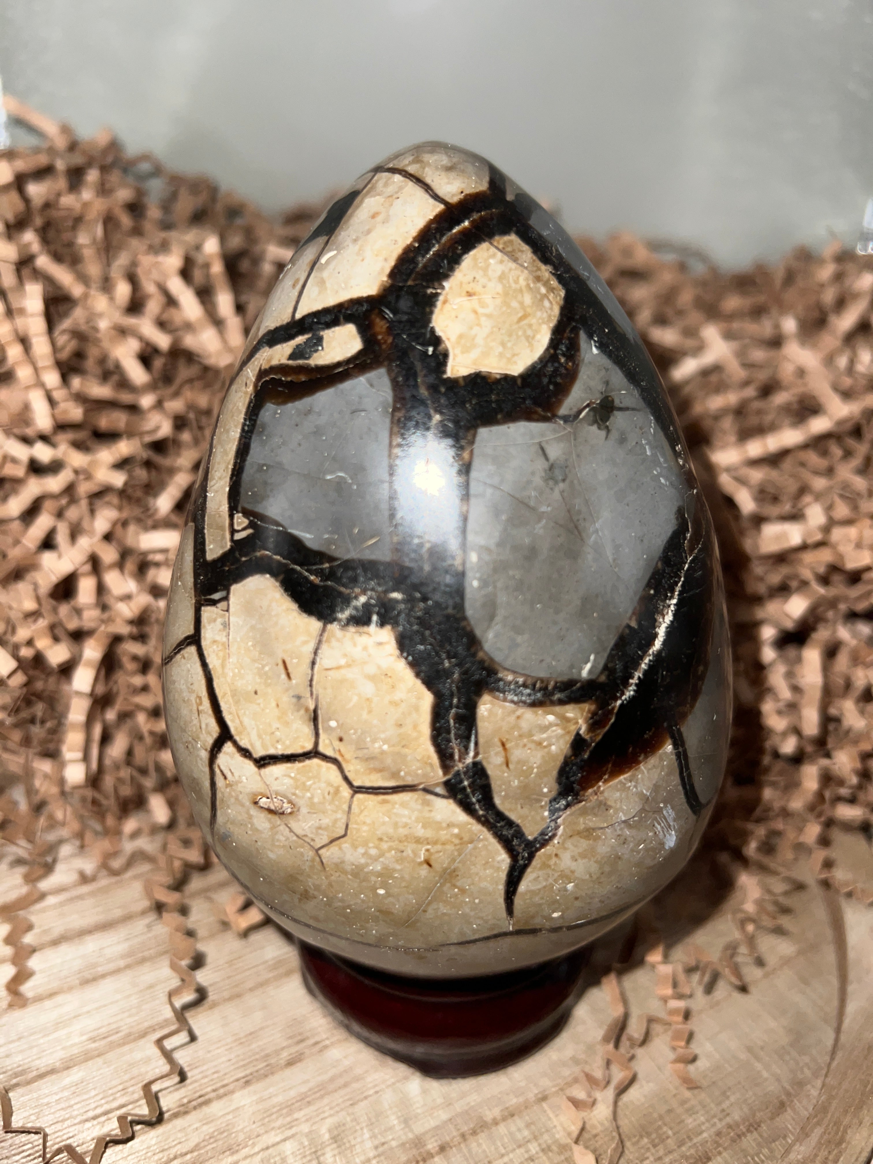Septarian Dino Egg