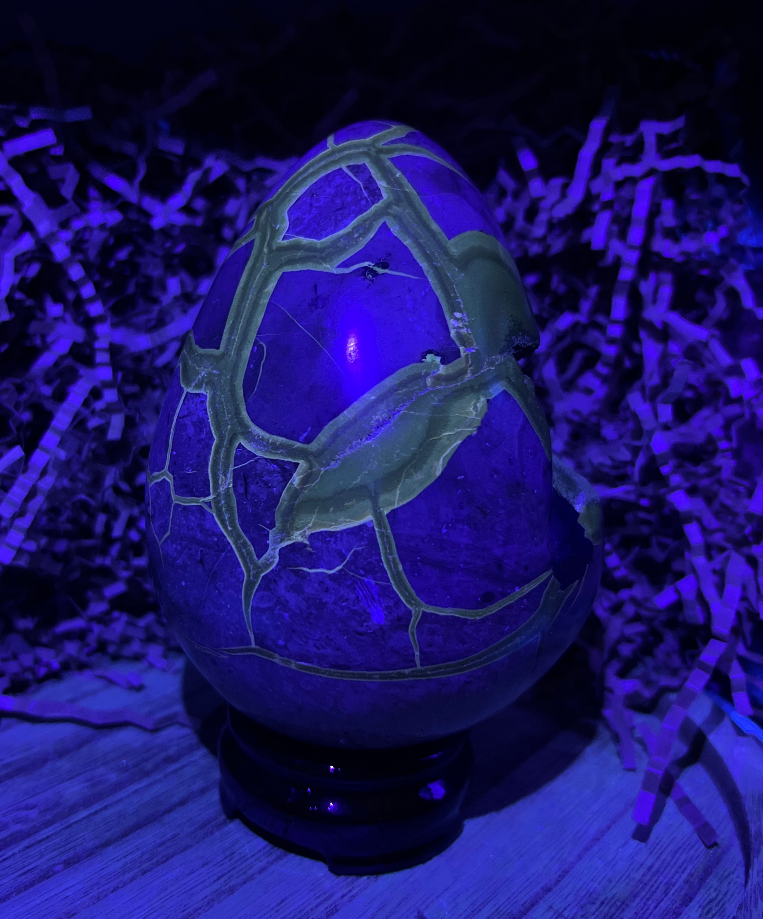 Septarian Dino Egg