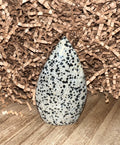Dalmatian Jasper Teardrop