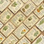 Vintage Herbal Grimoire Cards – 30-Piece Set – product view 6