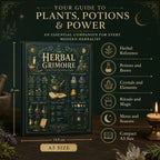 The Herbal Grimoire: Plants, Potions & Natural Witchcraft – product view 5