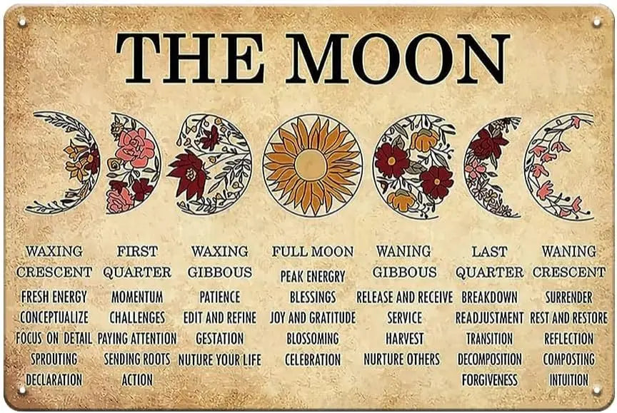 Celestial Moon Witch Metal Sign