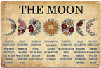 Celestial Moon Witch Metal Sign