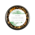 Facial Steam
