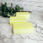 Lemon Zest Scrub - The Elemental Path