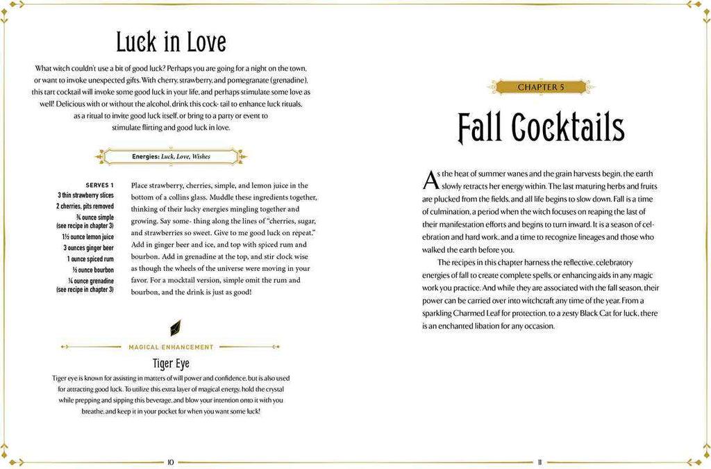 Witchcraft Cocktails By Julia Halina Hadas