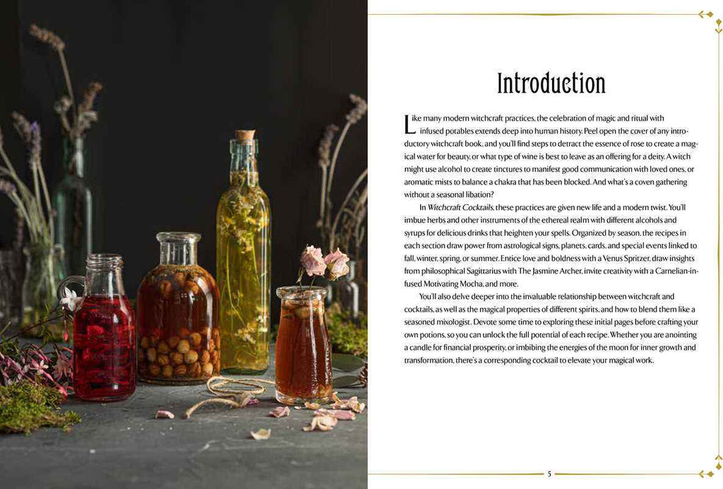 Witchcraft Cocktails By Julia Halina Hadas