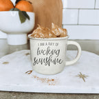 Ray of F'n Sunshine